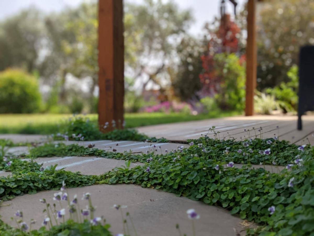 Provence In The Valley Lodge